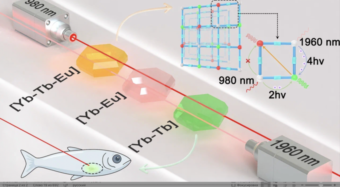 . Графическое резюме исследования.