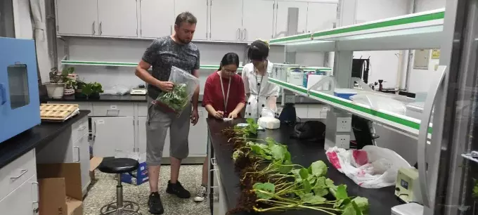 Лаборатория коллег в Пекине, разбор живых материалов из экспедиций для геномного, биохимического и цитогенетического анализа