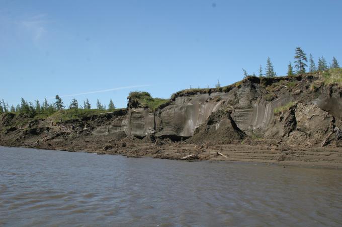 Многолетнемерзлые отложения левого берега реки Яна — источник палеогеографической информации.