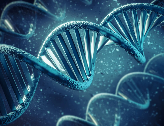 День ДНК и проект «Геном человека»: участие отечественных ученых