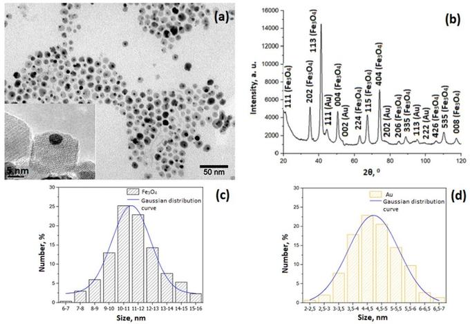 Характеристики полученных наночастиц.