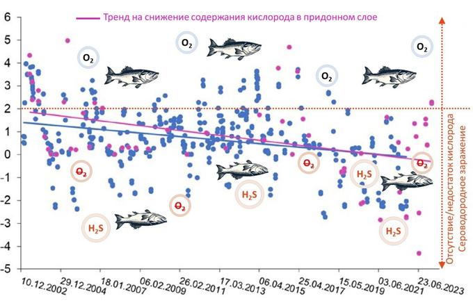Снижение содержания растворенного кислорода в придонном слое Гданьской впадины в 2002–2023 гг., приводящее к уменьшению ареалов обитания промысловых рыб.