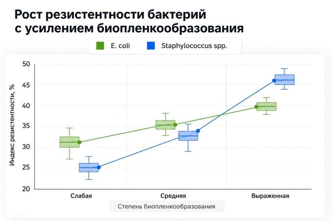 Динамика резистентности бактерий при различных уровнях биопленкообразования