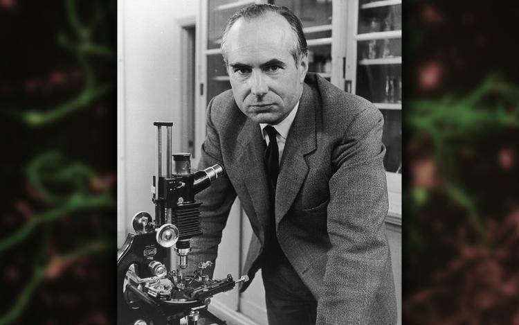 Helmut Huxley