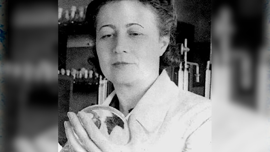 Десять лет истории науки: «Мадам Пенициллин» - Индикатор